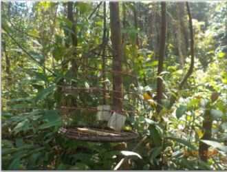 bird trap