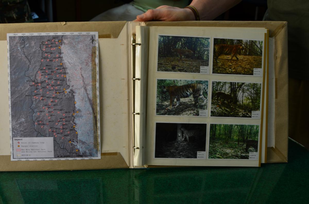 Assessing camera-trap photos