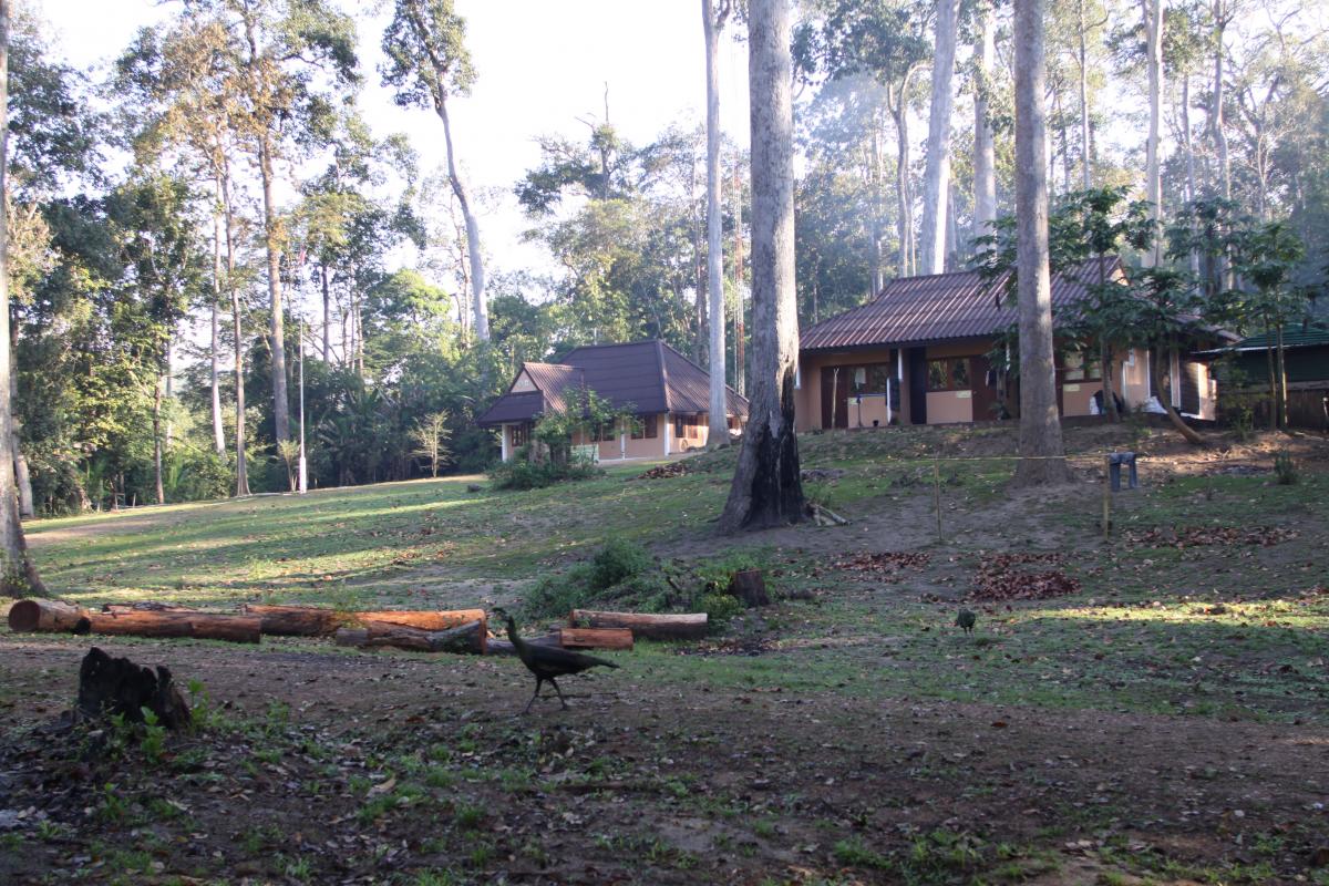 Visiting the Mae Krasa Ranger Station